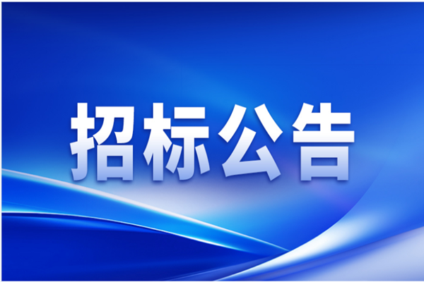 选聘2025年年度会计师事务所项目邀请招标公告